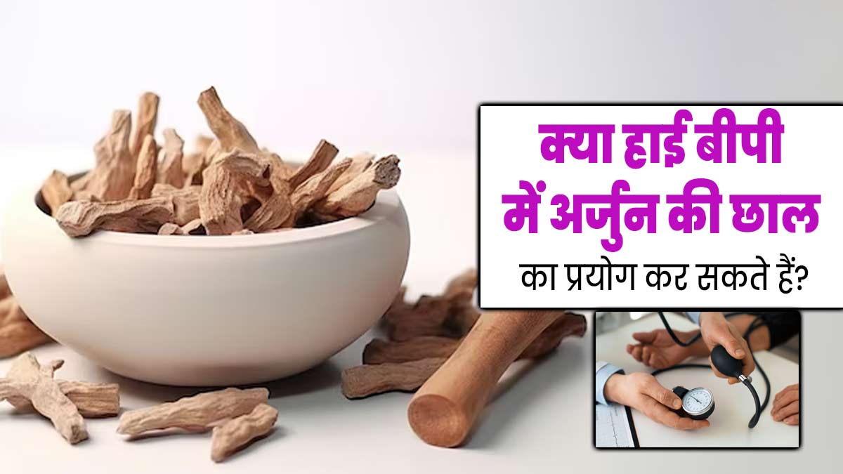 क्या हाई बीपी में अर्जुन की छाल का प्रयोग कर सकते हैं? जानें आयुर्वेदाचार्य से 
