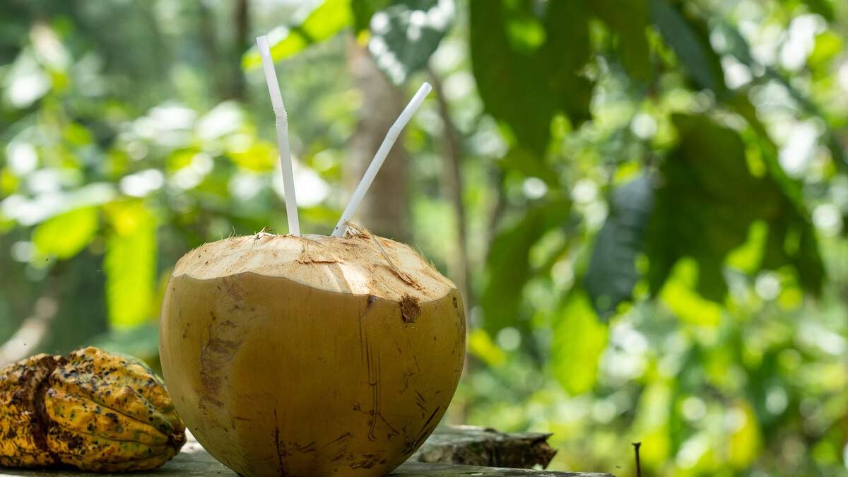 coconut water
