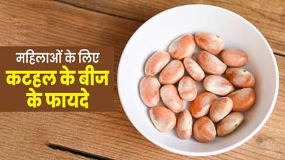 महिलाओं के लिए फायदेमंद होते हैं कटहल के बीज, इन तरीकों से कर सकती हैं डाइट में शामिल