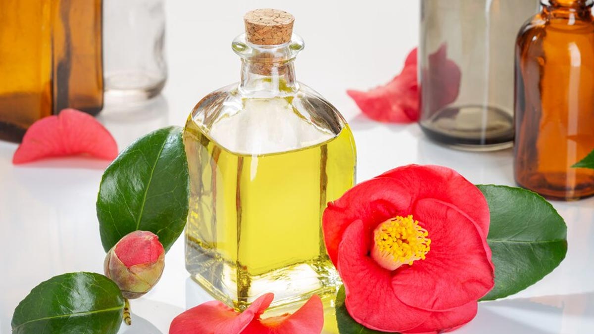 Skincare 101: Benefits Of Camellia Oil For Your Skin Health
