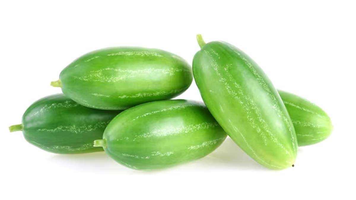 Can You Eat Ivy Gourd During Pregnancy In Hindi