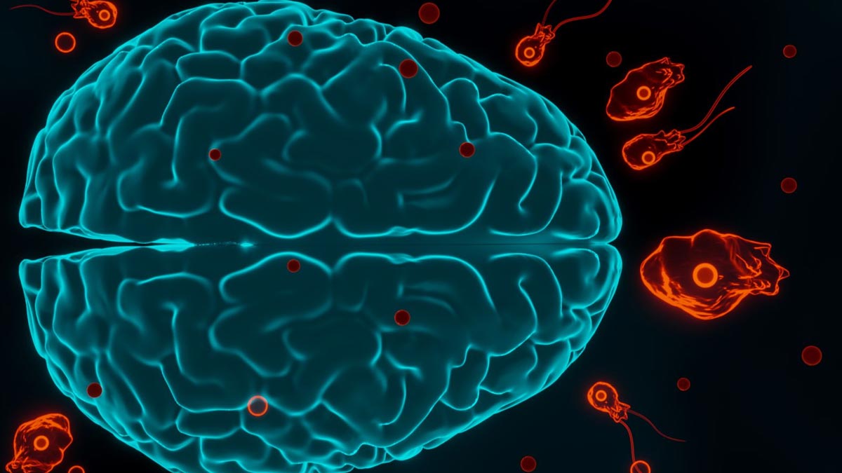 क्या होता है दिमाग खाने वाला Amoeba? जिससे संक्रमित होने से हुई 5 साल की बच्ची की मौत 