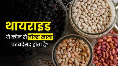 थायराइड कंट्रोल करने में मदद करते हैं ये 5 तरह के बीन्‍स, एक्‍सपर्ट से जानें फायदे 