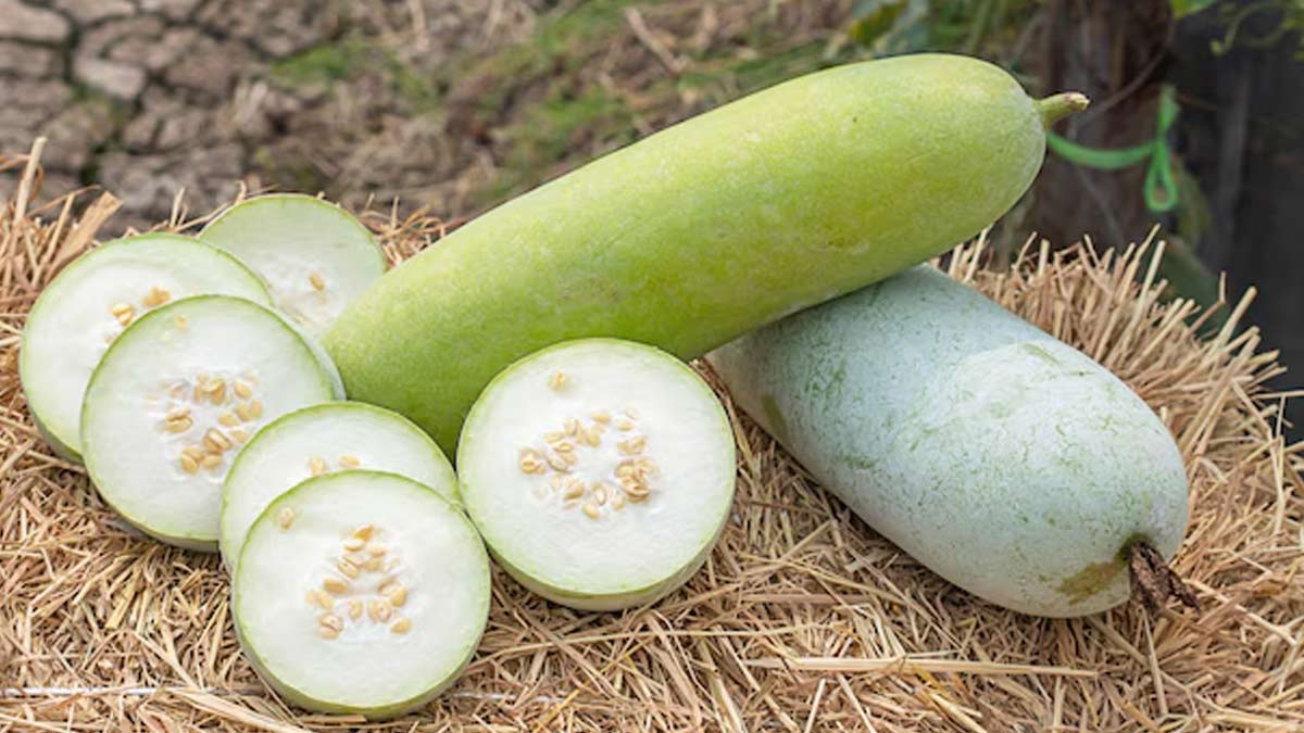 Benefits of Bottle Gourd Juice For Acidity in Hindi