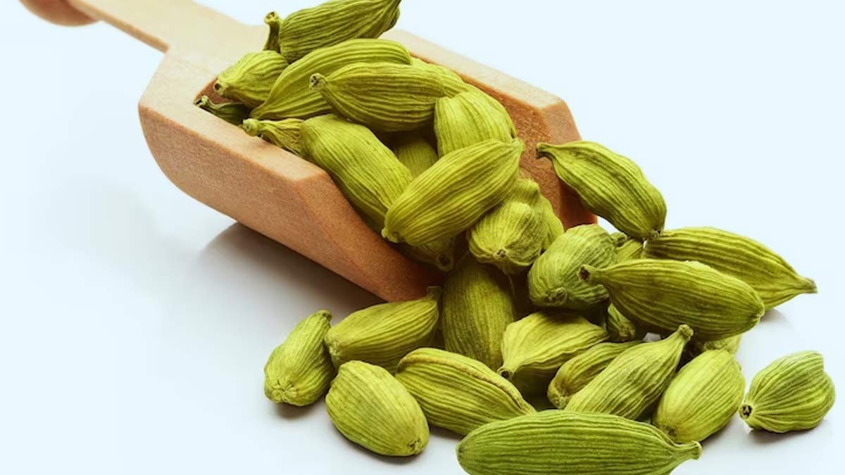 Why Should You Add Cardamom In Your Diet, Explore Health Benefits Of The Spice