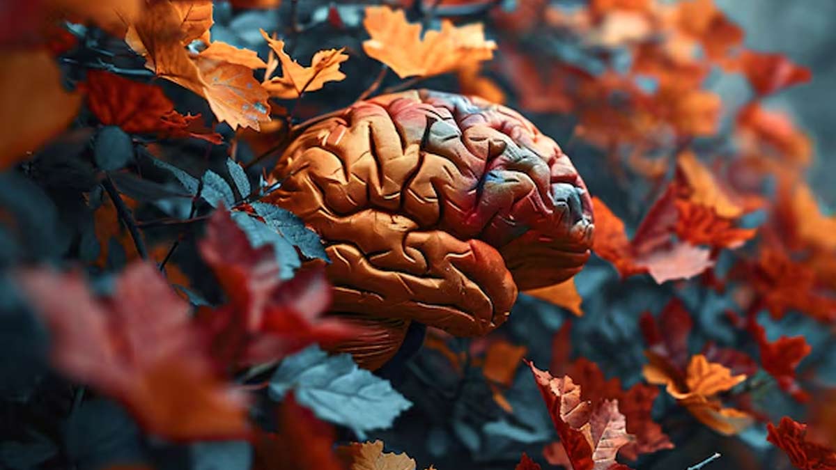 Schizophrenia-ins