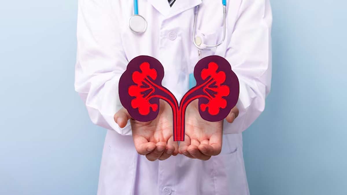 kidney health in hindi