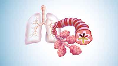 Impact Of Too Much Sugar On Lung Health: Read On 