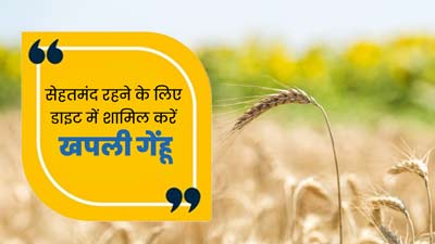 सेहतमंद रहने के लिए डाइट में शामिल करें खपली गेहूं, जानें इसके जबरदस्त फायदे