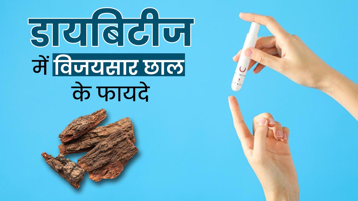 डायबिटीज रोगी विजयसार की छाल का करें सेवन, ब्लड शुगर रहेगा कंट्रोल