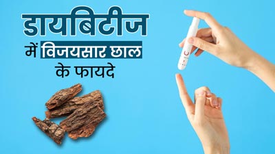 डायबिटीज रोगी विजयसार की छाल का करें सेवन, ब्लड शुगर रहेगा कंट्रोल