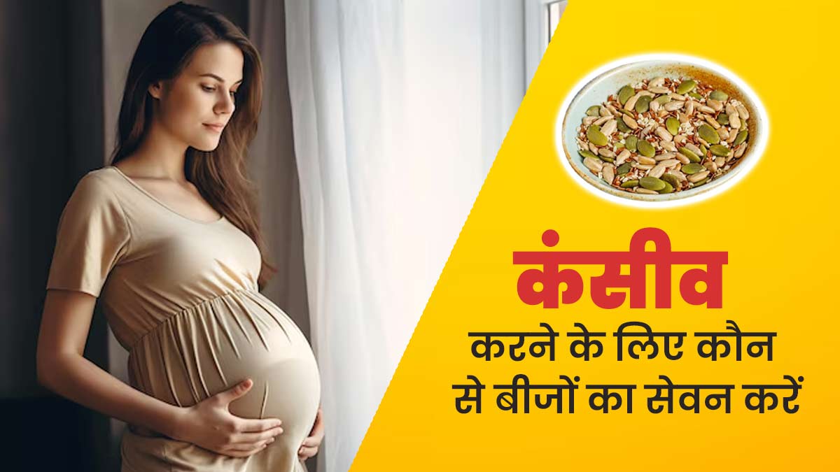 प्रेग्नेंसी प्लान कर रही हैं तो डाइट में शामिल करें ये 3 बीज, मिलेंगे कंसीव करने के लिए जरूरी पोषक तत्व