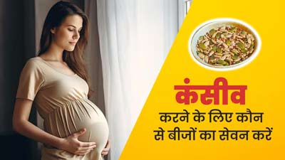प्रेग्नेंसी प्लान कर रही हैं तो डाइट में शामिल करें ये 3 बीज, मिलेंगे कंसीव करने के लिए जरूरी पोषक तत्व