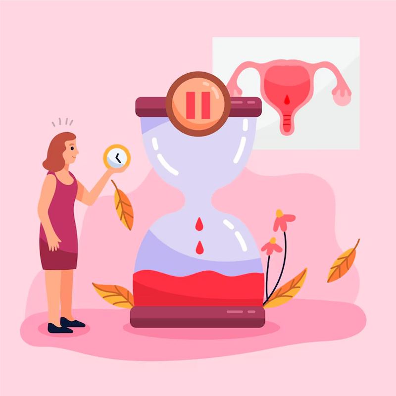 menstruation