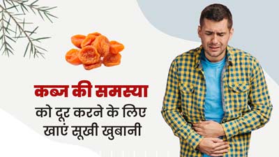कब्ज की समस्या को दूर करने के लिए खाएं सूखी खुबानी, पेट होगा साफ 