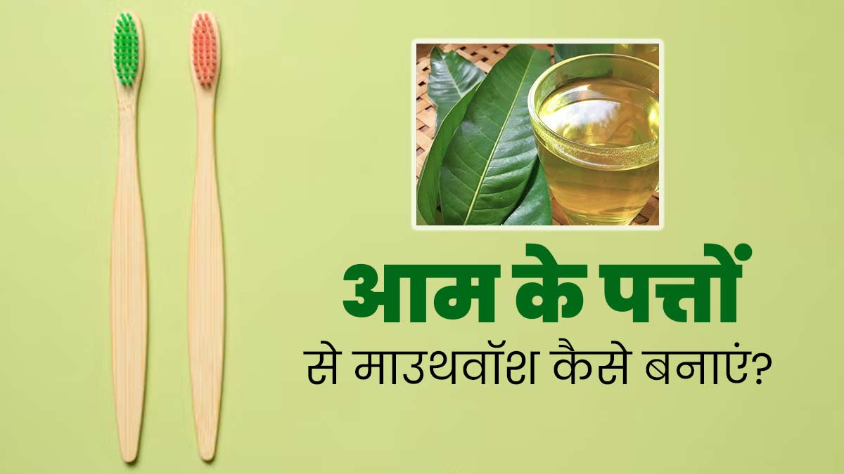 मुंह की बदबू दूर करने के ल‍िए आम के पत्तों से बनाएं नेचुरल माउथवॉश, जानें इस्‍तेमाल का तरीका