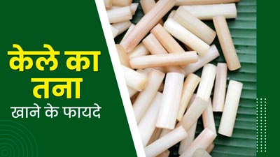 सेहत के लिए फायदेमंद होता है केले का तना, जानें कैसे करें इसे डाइट में शामिल?