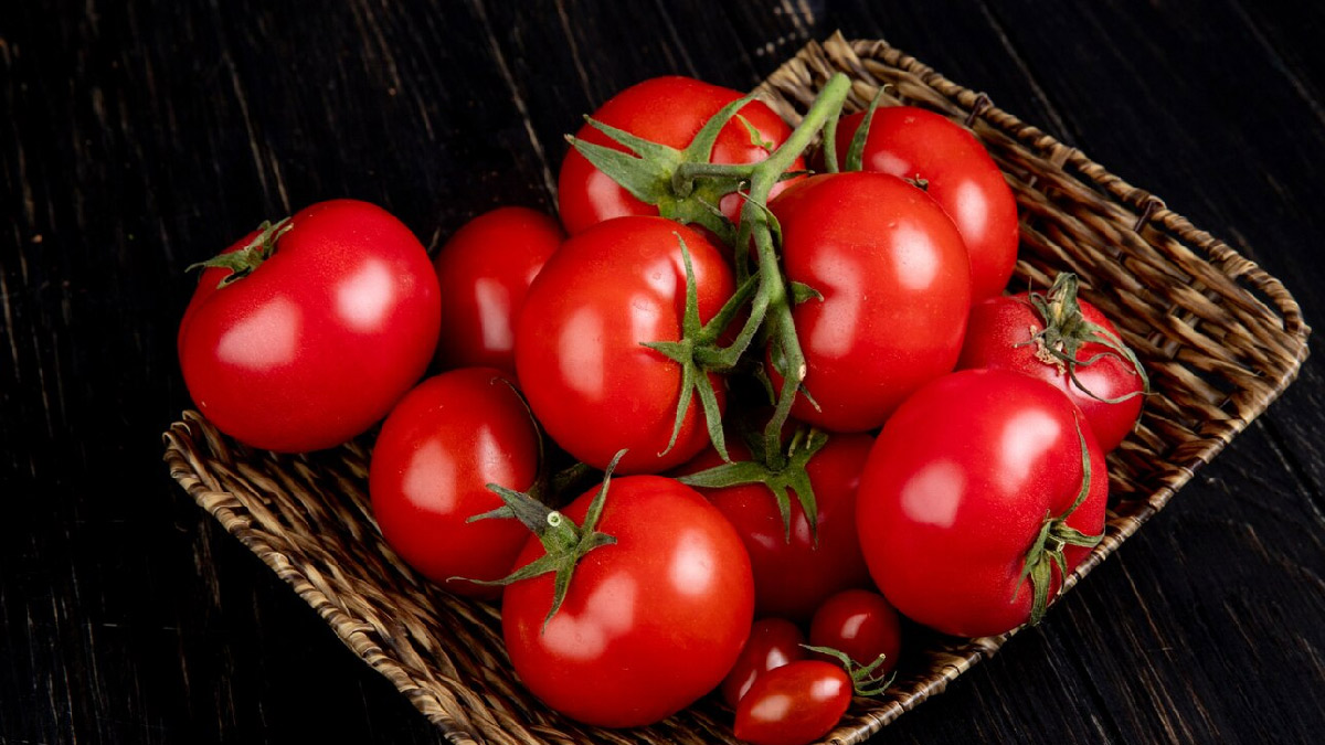 tomato side effects