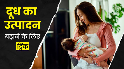 ब्रेस्टफीड कराने वाली महिलाएं जरूर पिएं सौंफ के बीजों की यह खास ड्रिंक, बढ़ेगा दूध का उत्पादन 