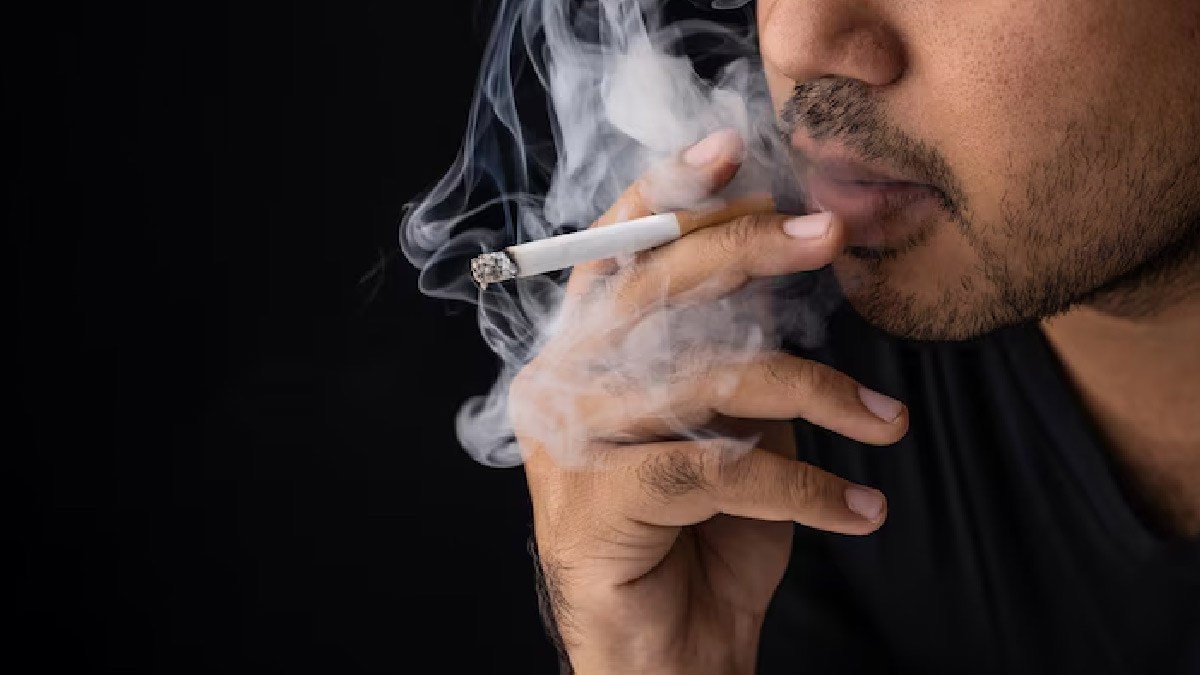 World No Tobacco Day: तंबाकू उत्‍पाद खाने और धूम्रपान करने से इम्‍यून‍िटी पर क्‍या असर पड़ता है? जानें 