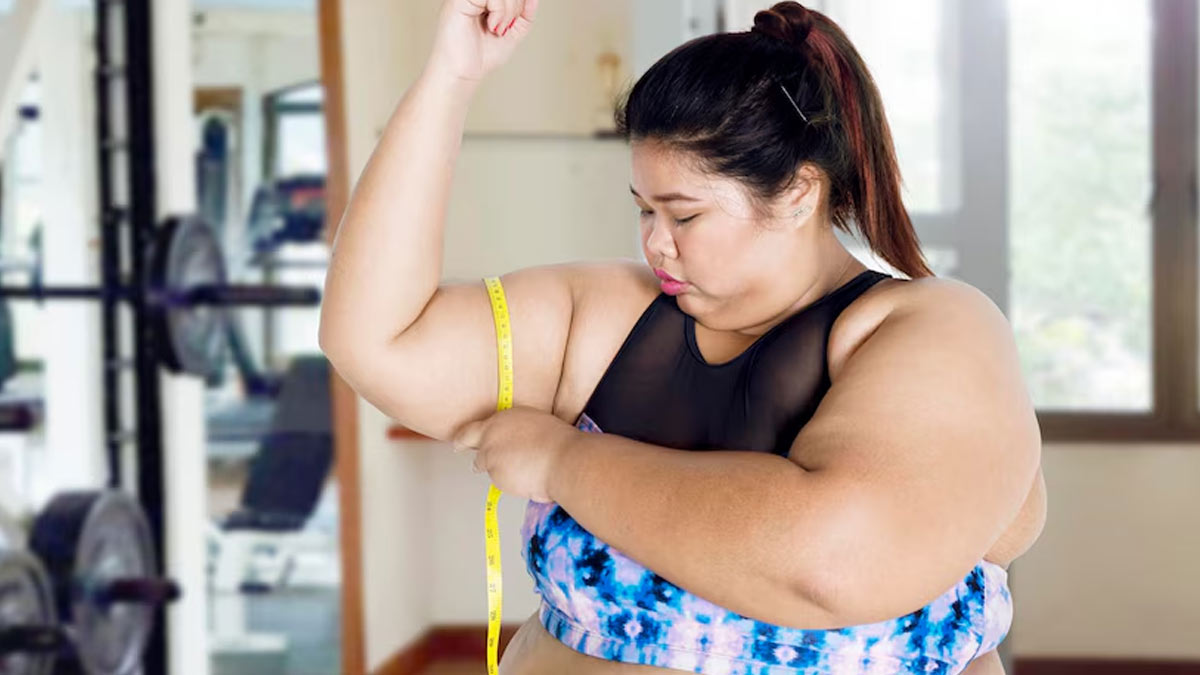 How Does High Fat Diet And Obesity Affect Your Body?