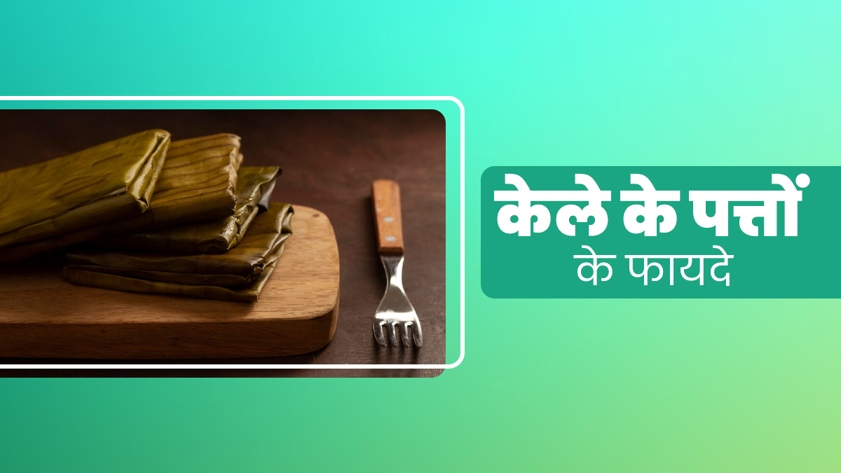 केले के पत्ते भी होते हैं सेहत के लिए फायदेमंद, एक्सपर्ट से जानें इसके फायदे और उपयोग