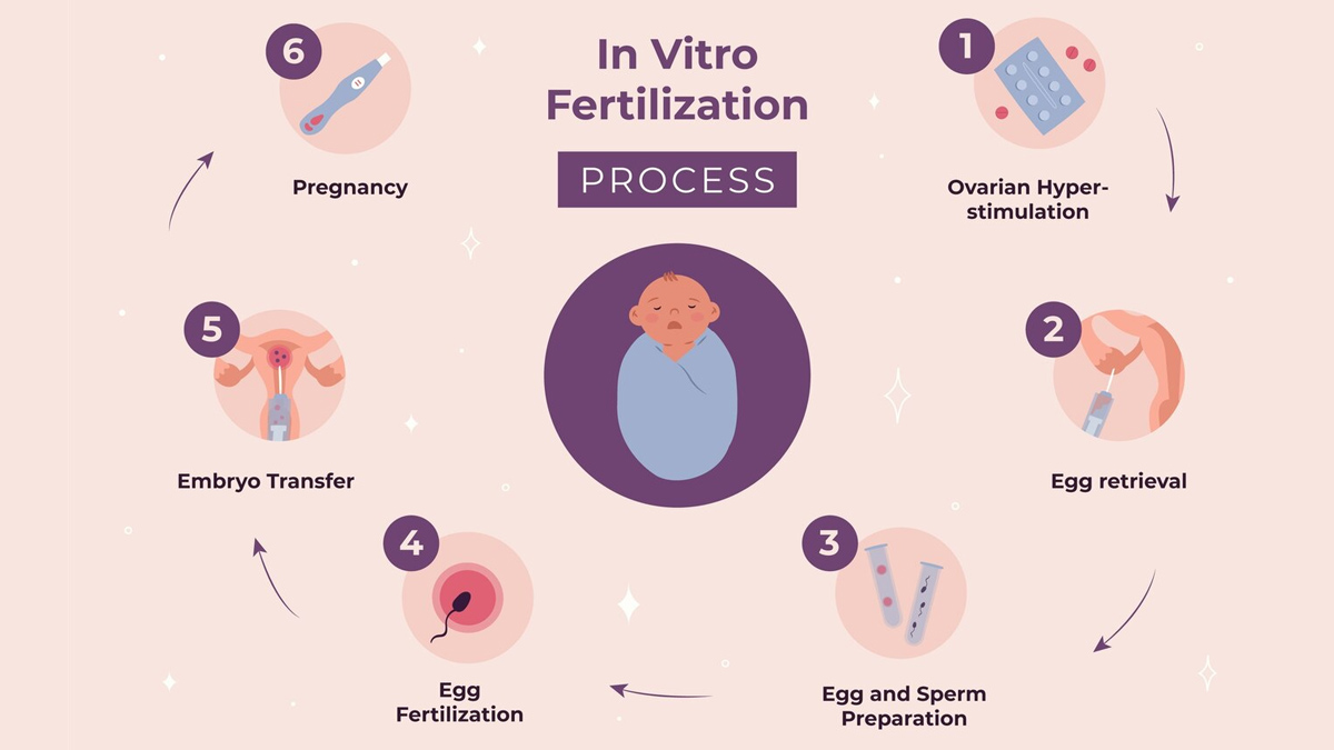 How Lifestyle Factors Affect Ovarian Health in IVF in hindi