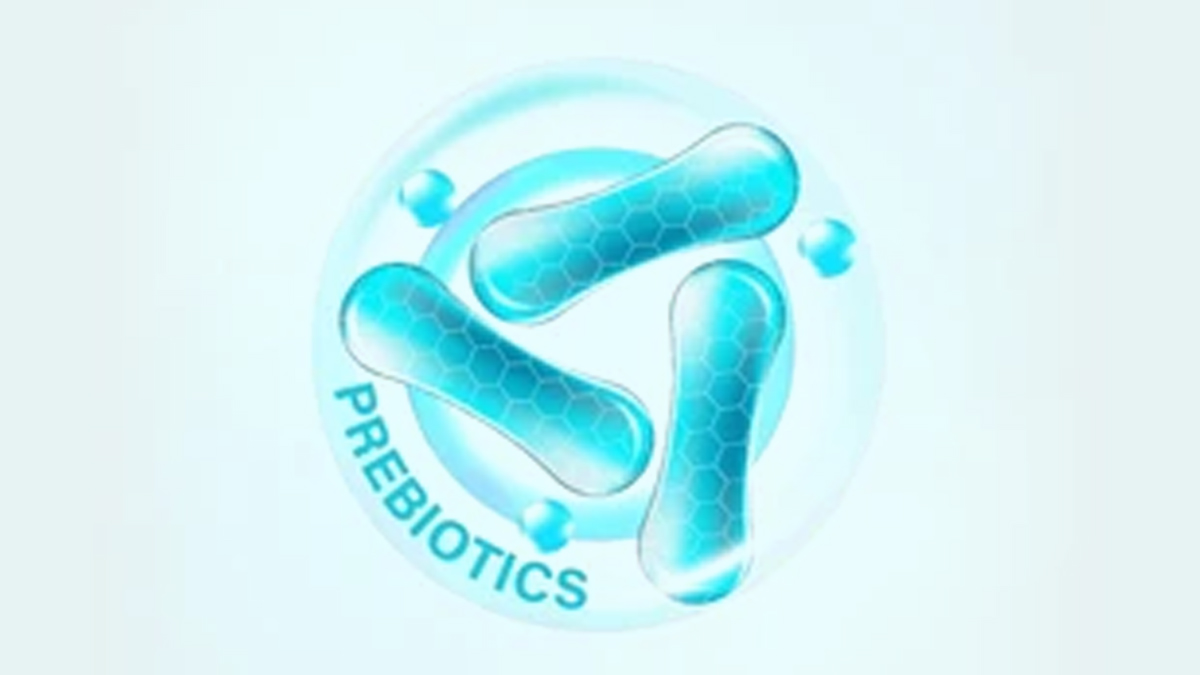 prebiotics