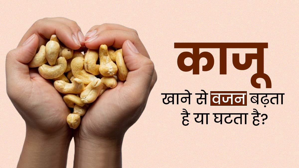 काजू खाने से वजन बढ़ता है या घटता है? एक्सपर्ट से जानें किन लोगों को करना चाहिए इसका सेवन 