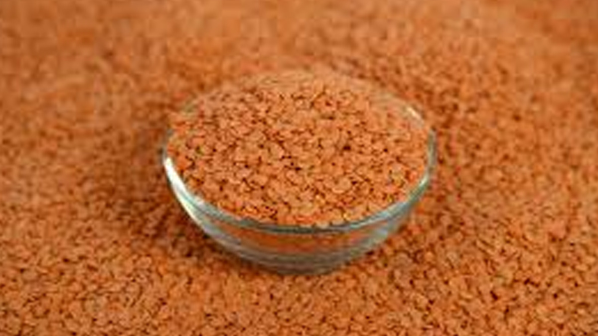 Jasmine-Bhasin-use-Masoor-dal-Face-Pack-ins