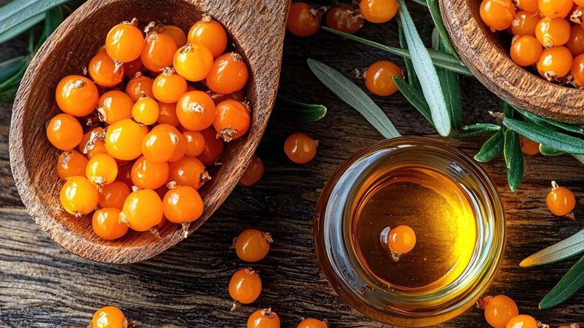 sea buckthorn oil ke fayde