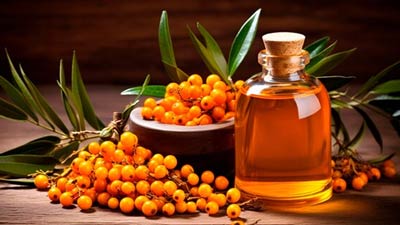 कई प्रोडक्‍ट्स में पाया जाता है सी बकथॉर्न ऑयल, जानें त्‍वचा और बालों के ल‍िए इसके फायदे-नुकसान 