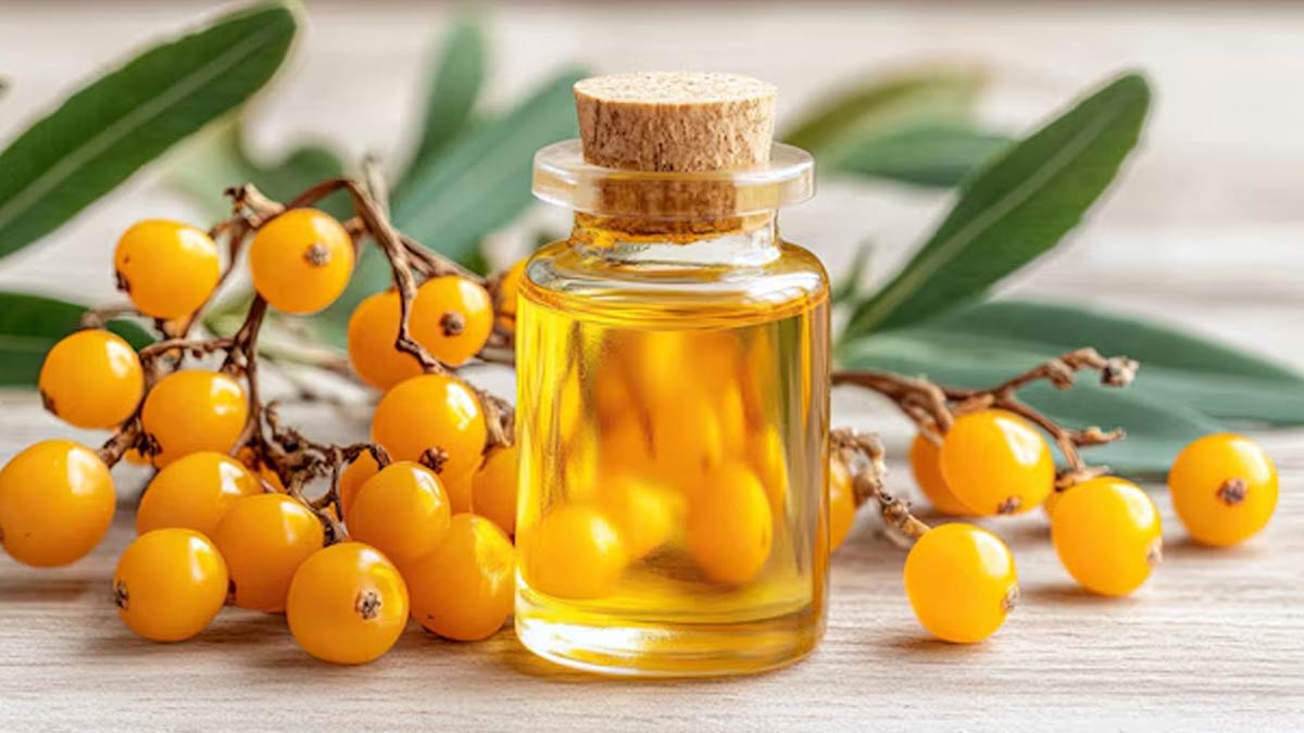 sea buckthorn oil benefits