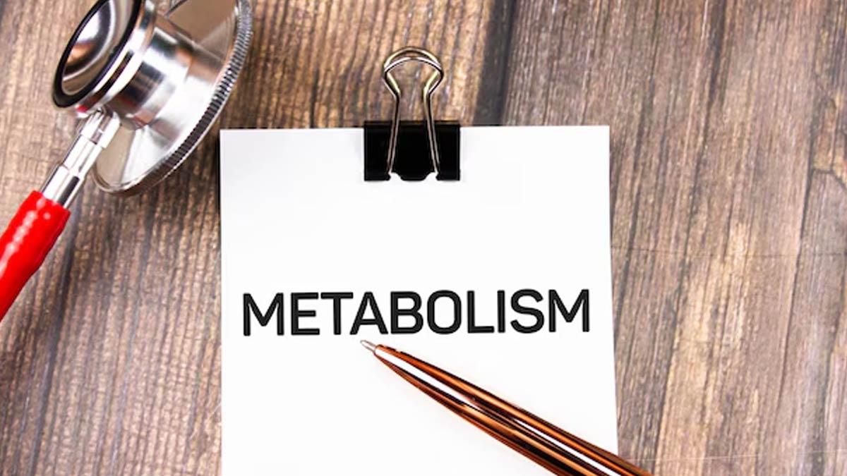 metabolism