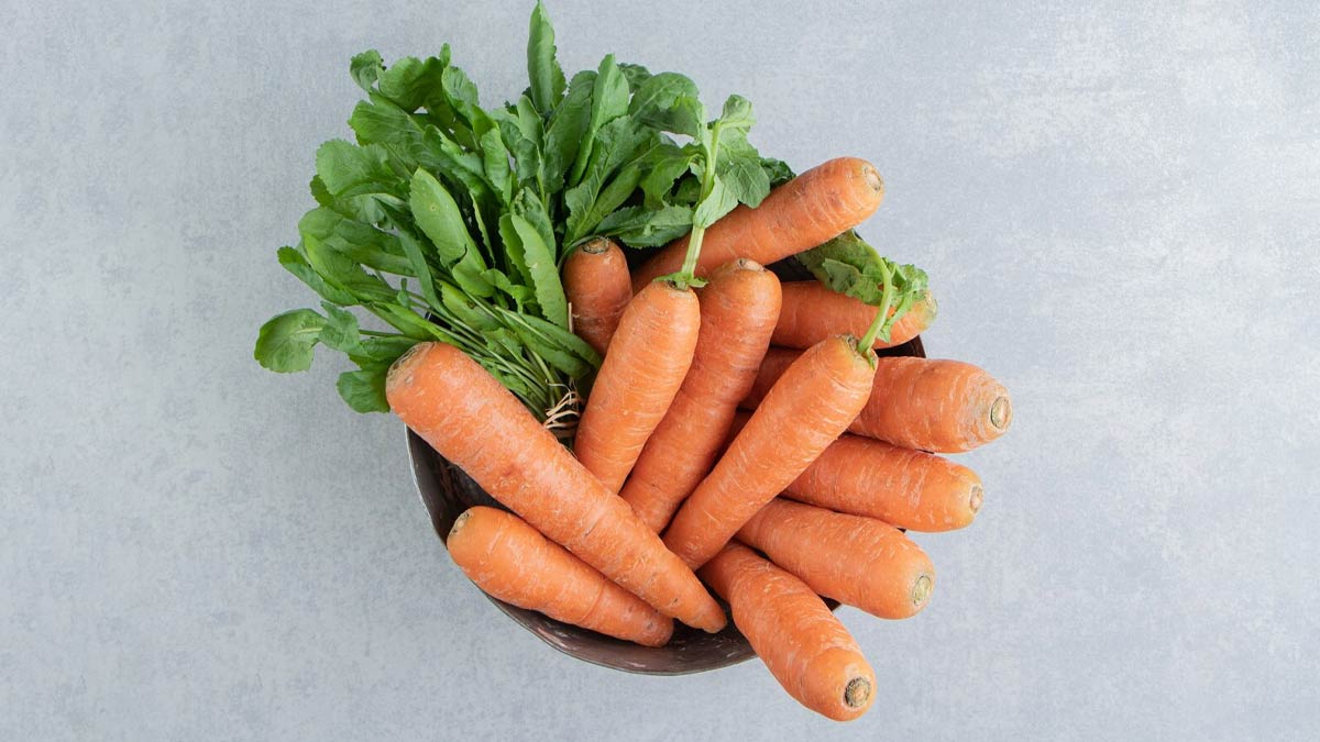 CARROT