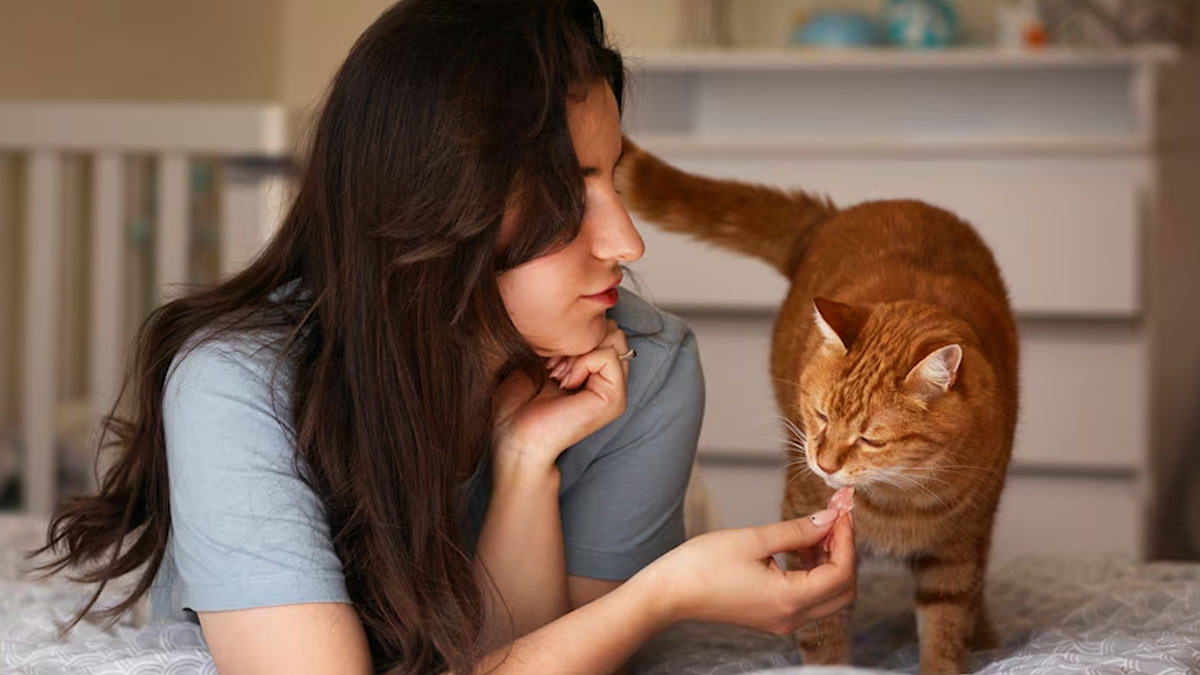 Owning A Cat Could Double Your Schizophrenia Risk: Research