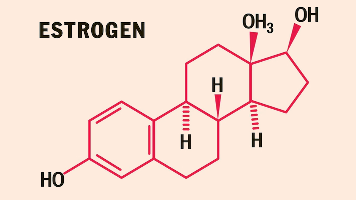 estrogen hormones