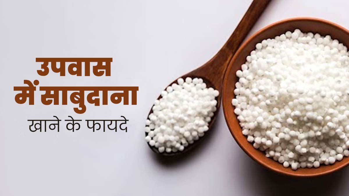 उपवास में जरूर करें साबुदाना का सेवन, आयुर्वेद के अनुसार सेहत के लिए होता है फायदेमंद