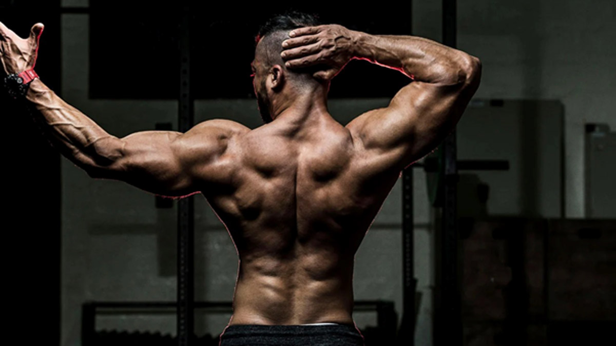 Clenbuterol Weight Loss Tablets: Side Effects, Pills Dosage, And Before And After Results