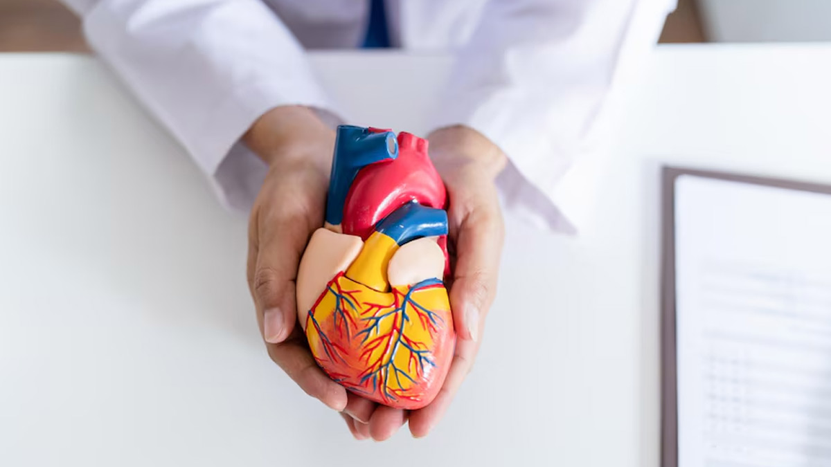 Crucial Steps To Take If Heart Disease Runs In Your Family