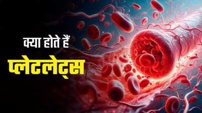 क्या होते हैं प्लेटलेट्स? डॉक्टर से जानें शरीर में क्यों घटती है प्लेटलेट्स की संख्या