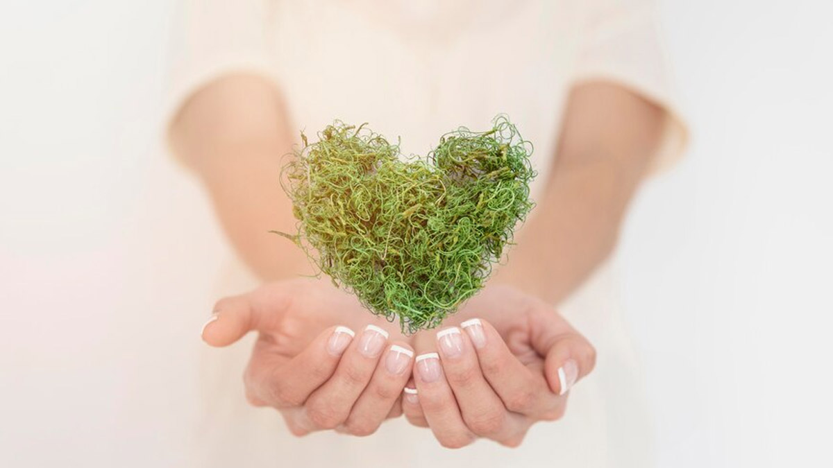 What Does Ayurveda Say About Maintaining Cardiovascular Health: Essential Tips
