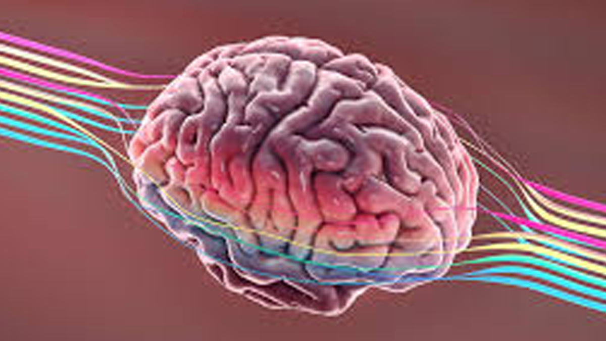 Dopamine Fasting: Is This Trending Wellness Craze Worth the Hype?