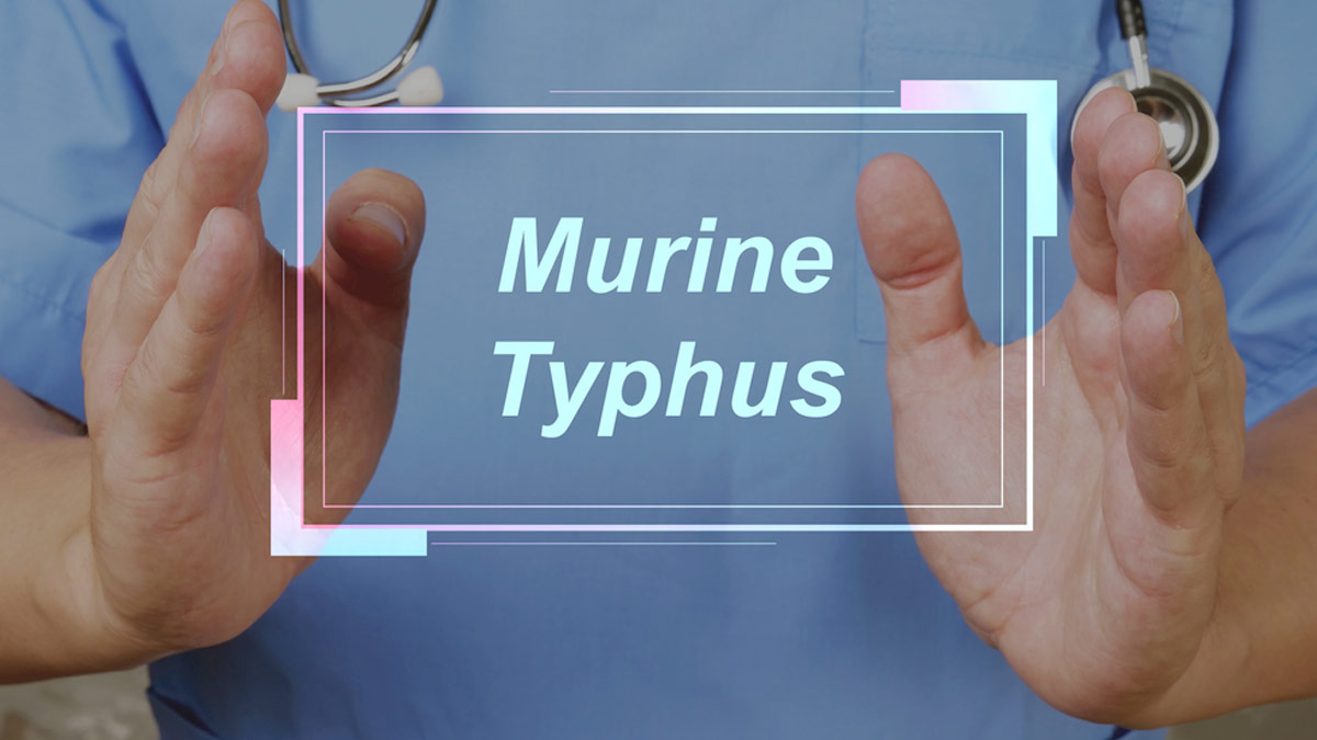 Kerala Man Diagnosed With Murine Typhus, Here’s All You Need To Know About The Flea-Borne Illness