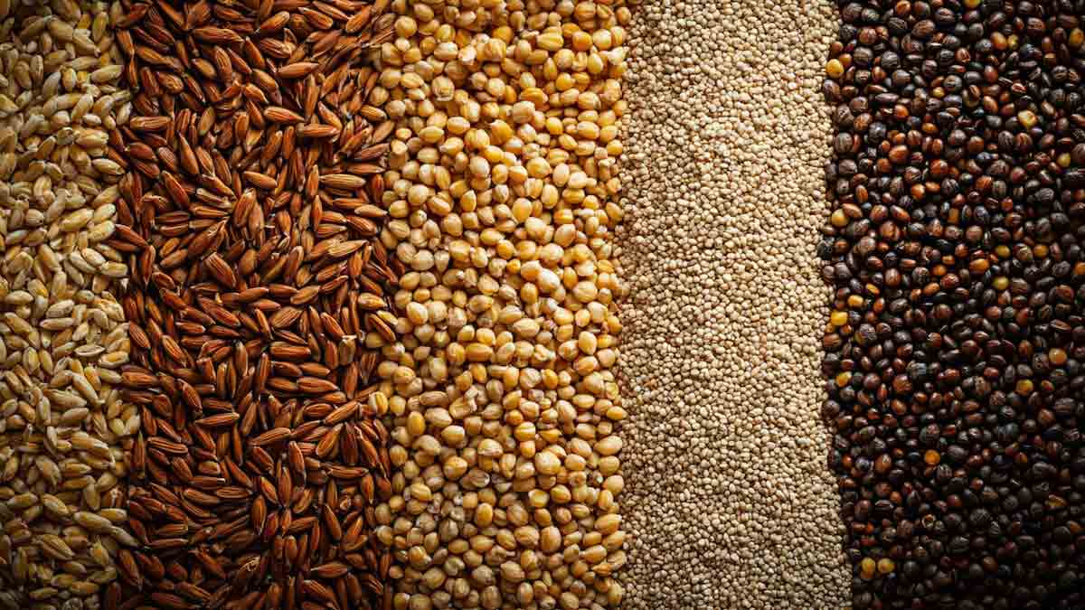 World Food Day 2024: Expert Explains Why Multigrain Is The Key To Balanced Nutrition
