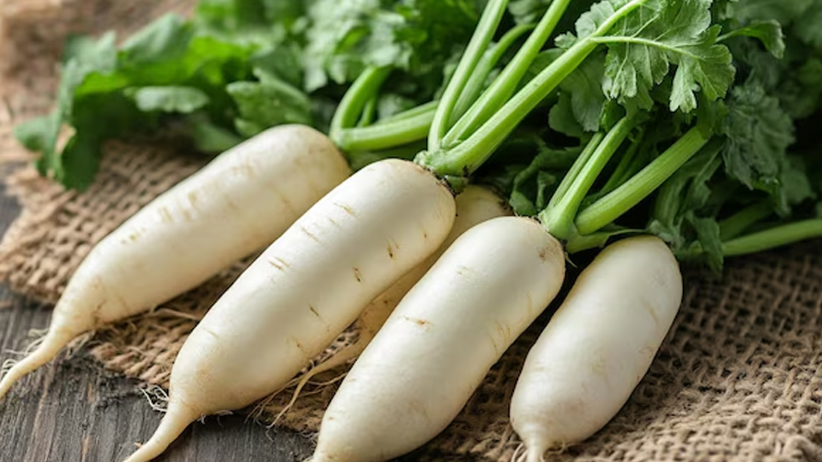 Radish
