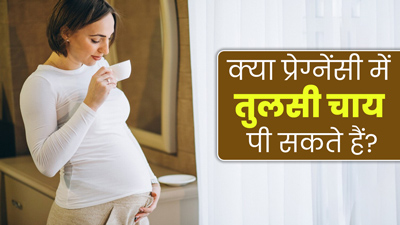 क्या प्रेग्नेंसी में तुलसी के पत्तों की चाय पी सकते हैं? जानें क्या कहते हैं डॉक्टर