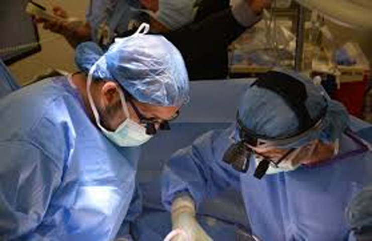 Kidney Transplants