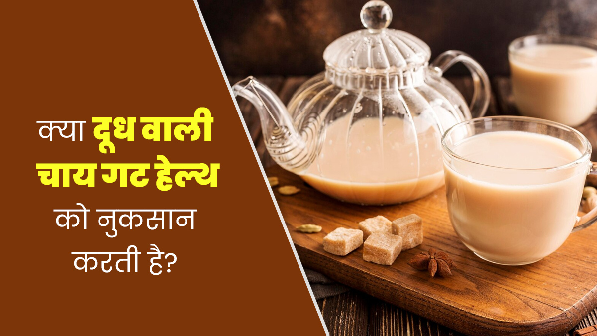 क्या दूध वाली चाय पीने से आंतों को नुकसान पहुंचता है? एक्सपर्ट से जानें