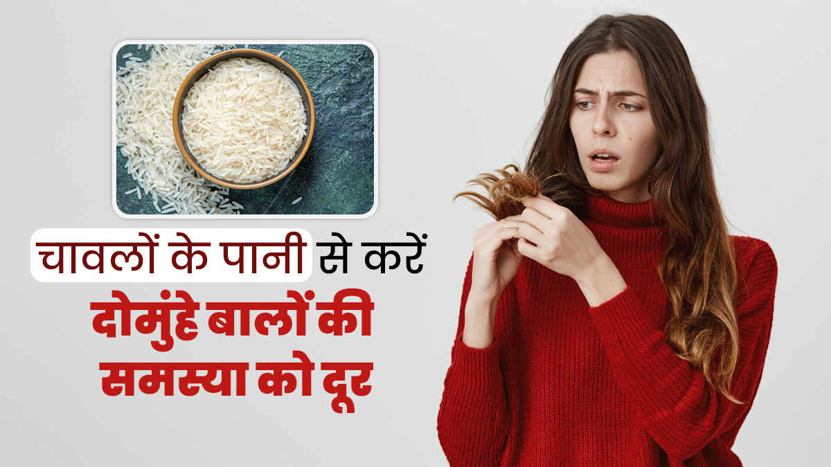 दोमुंहे बालों से छुटकारा दिलाएगा चावल का पानी, इस तरह से करें इस्तेमाल